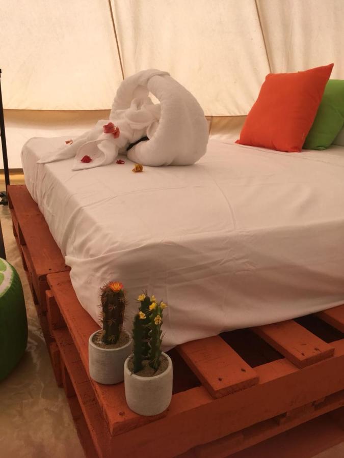 Glamping Due Amici Hotel Palomino Kültér fotó